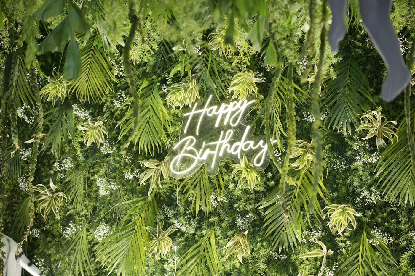Néon « Happy Birthday » sur un mur végétal