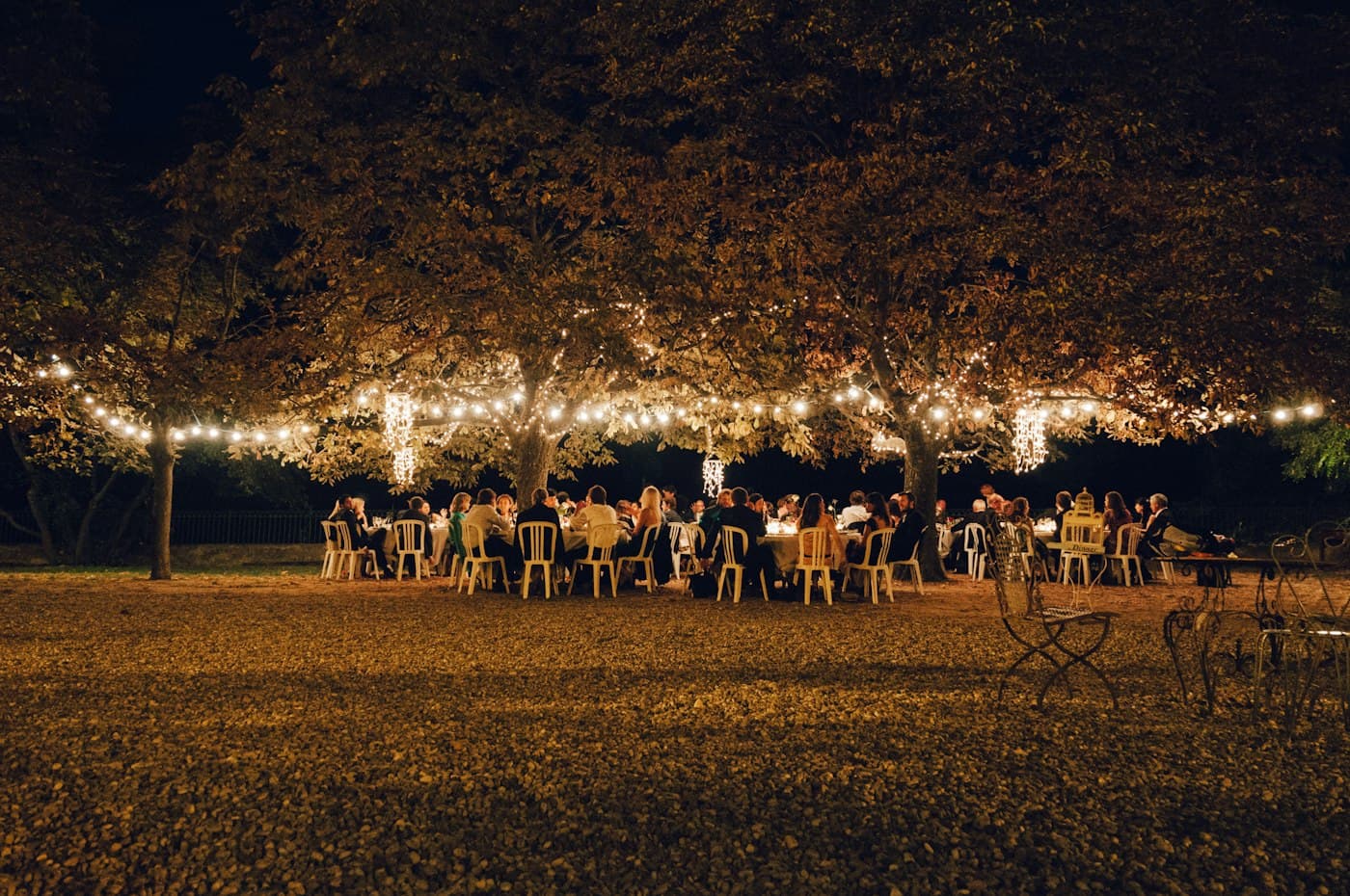 Convives sous des arbres éclairés de guirlandes lumineuses